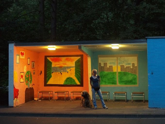 ��������Щ�����ɫ�ĺ�܇ͤ��D��