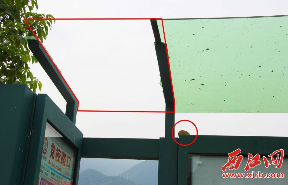 ������܇ͤ