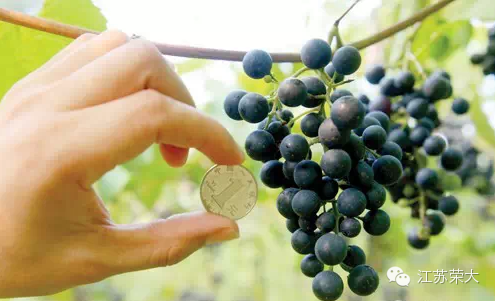 �ޕԼt����,���K�s��